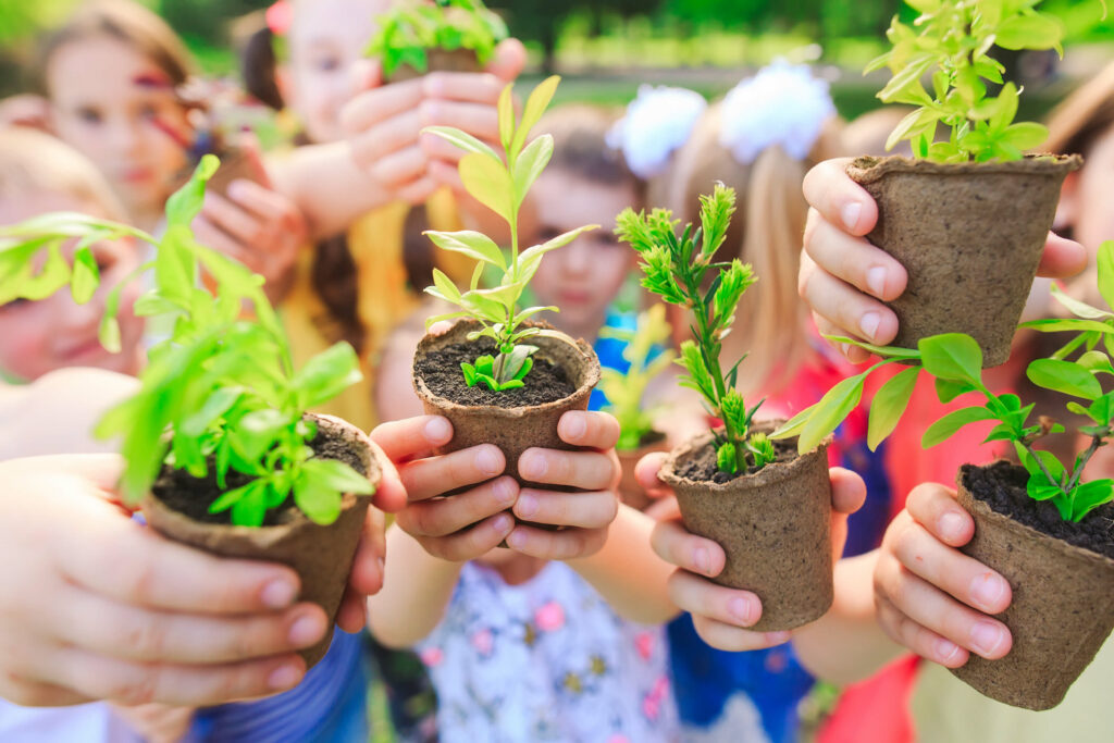 People hands cupping plants