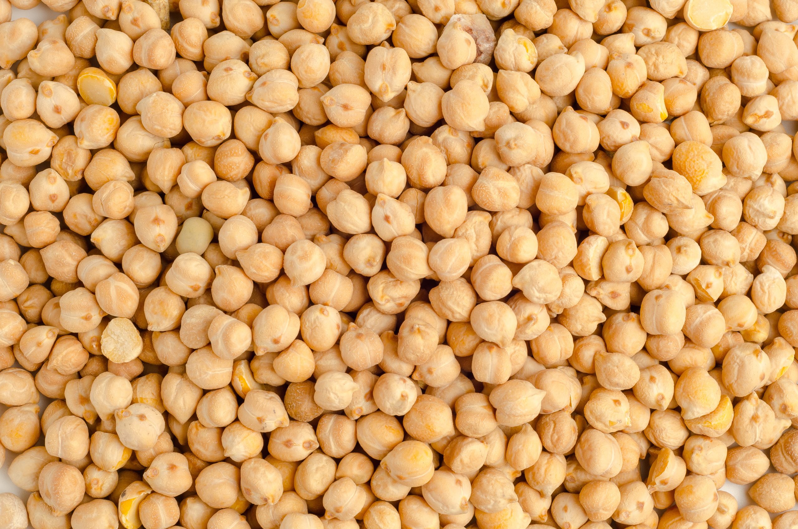 roasted chickpeas
