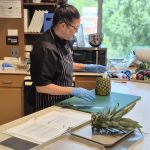 A chef wearing a black chef coat and striped apron standing in front of a counter as she looks down at a pineapple and knife on a green cutting with the top cut off.